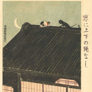 Meet your Posher, Saranzaya